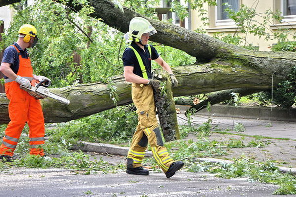 Feuerwehr_Baum   007.jpg